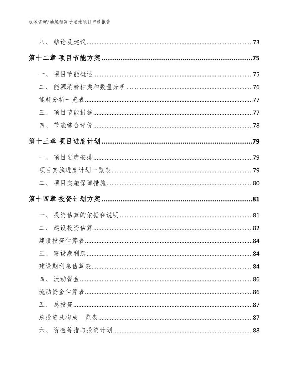 汕尾锂离子电池项目申请报告_模板范本_第5页