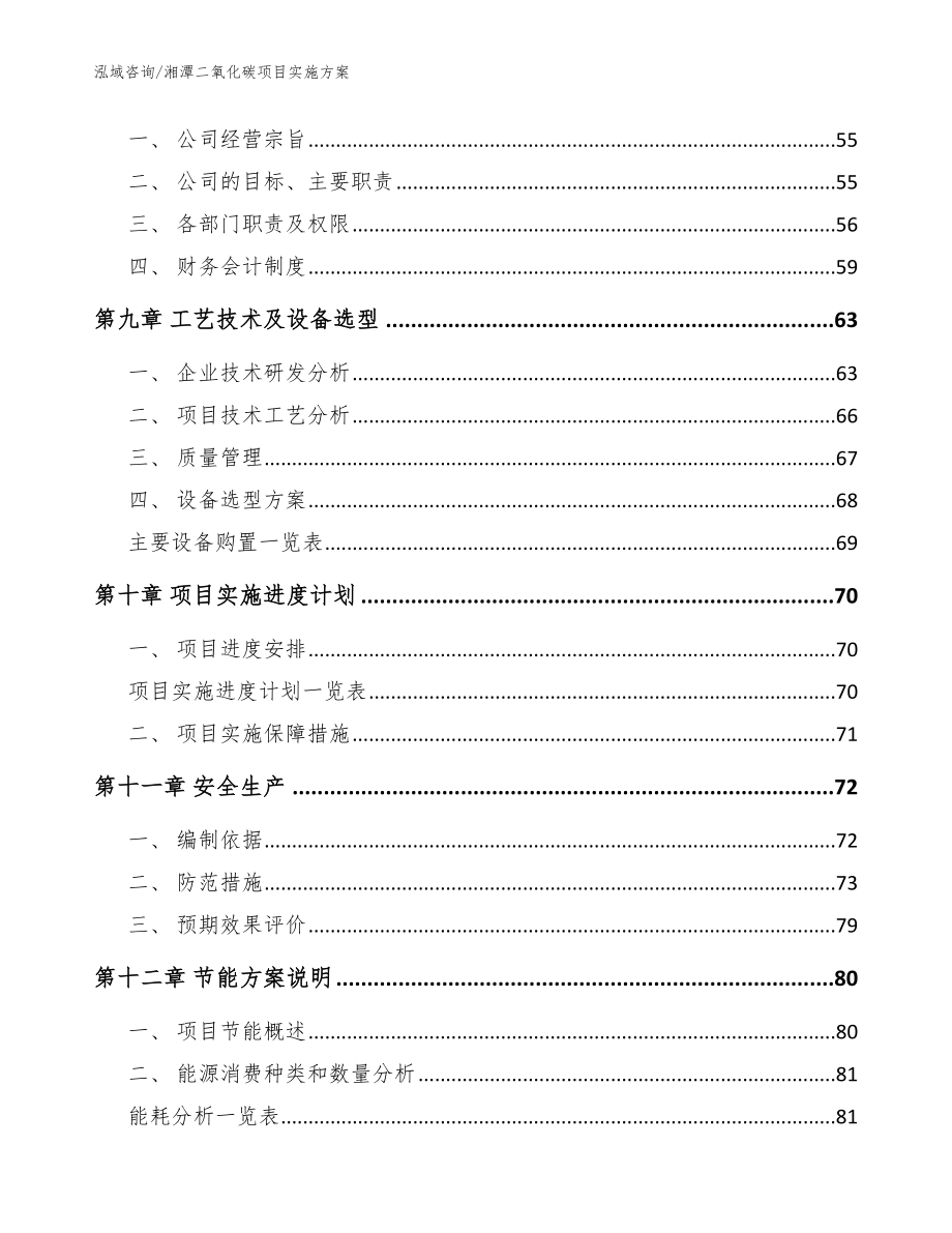 湘潭二氧化碳项目实施方案_范文参考_第4页