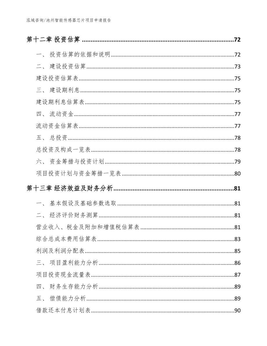 池州智能传感器芯片项目申请报告（范文）_第5页