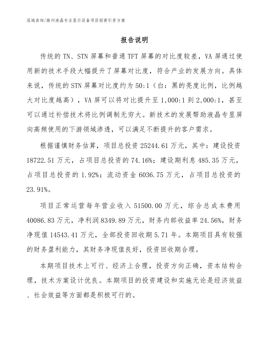 滁州液晶专业显示设备项目招商引资方案（模板参考）_第2页
