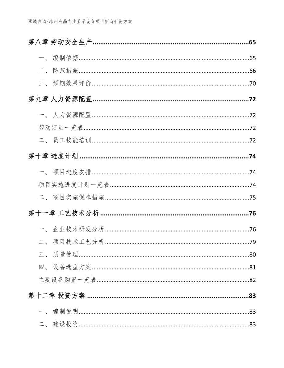 滁州液晶专业显示设备项目招商引资方案（模板参考）_第5页