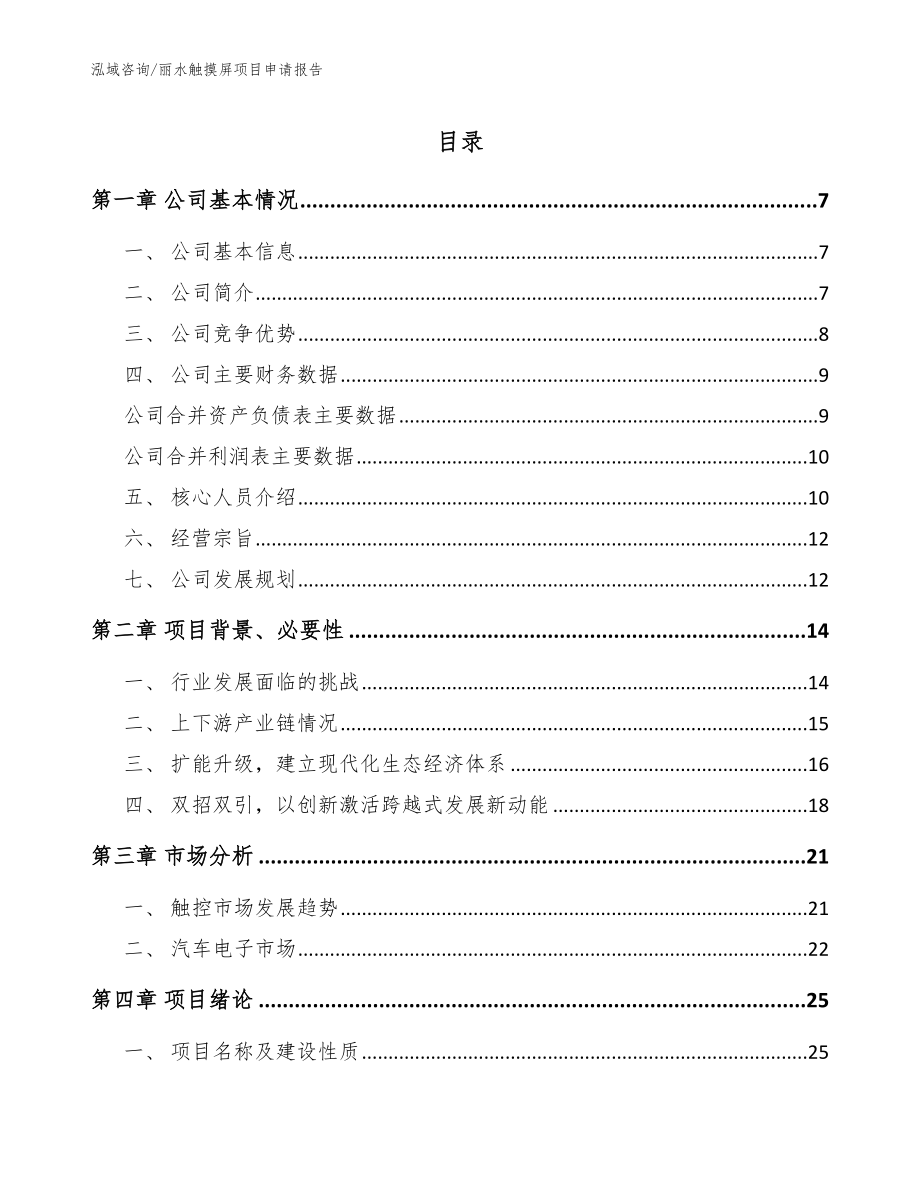 丽水触摸屏项目申请报告（模板）_第1页