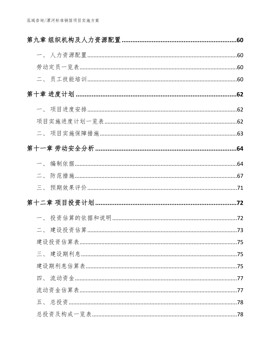 漯河标准铜箔项目实施方案【模板】_第4页