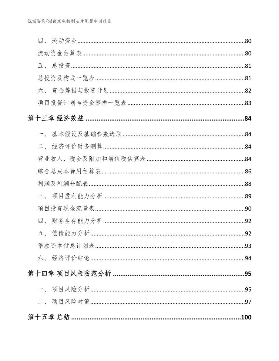 湖南家电控制芯片项目申请报告_参考范文_第5页