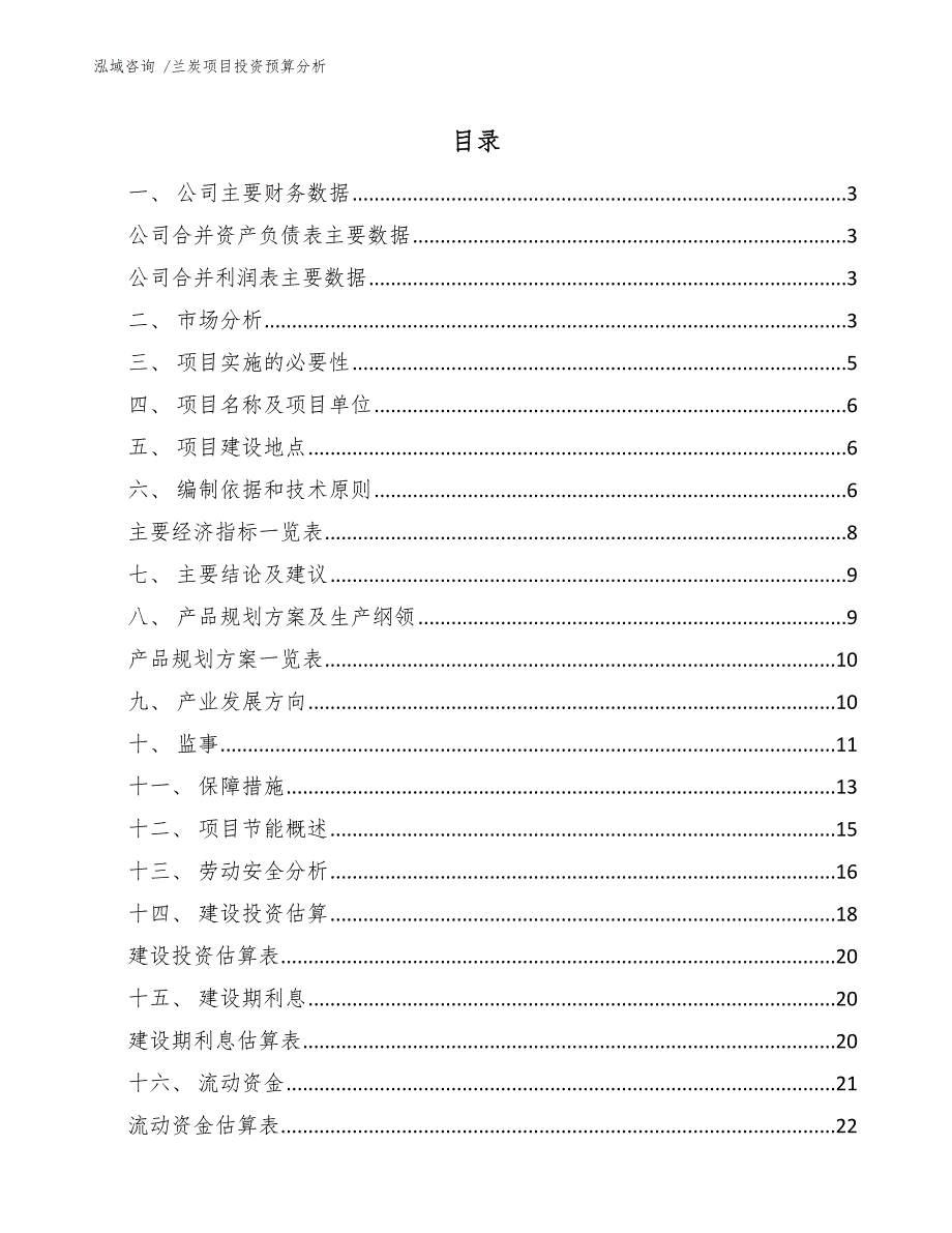 兰炭项目投资预算分析（范文模板）_第1页