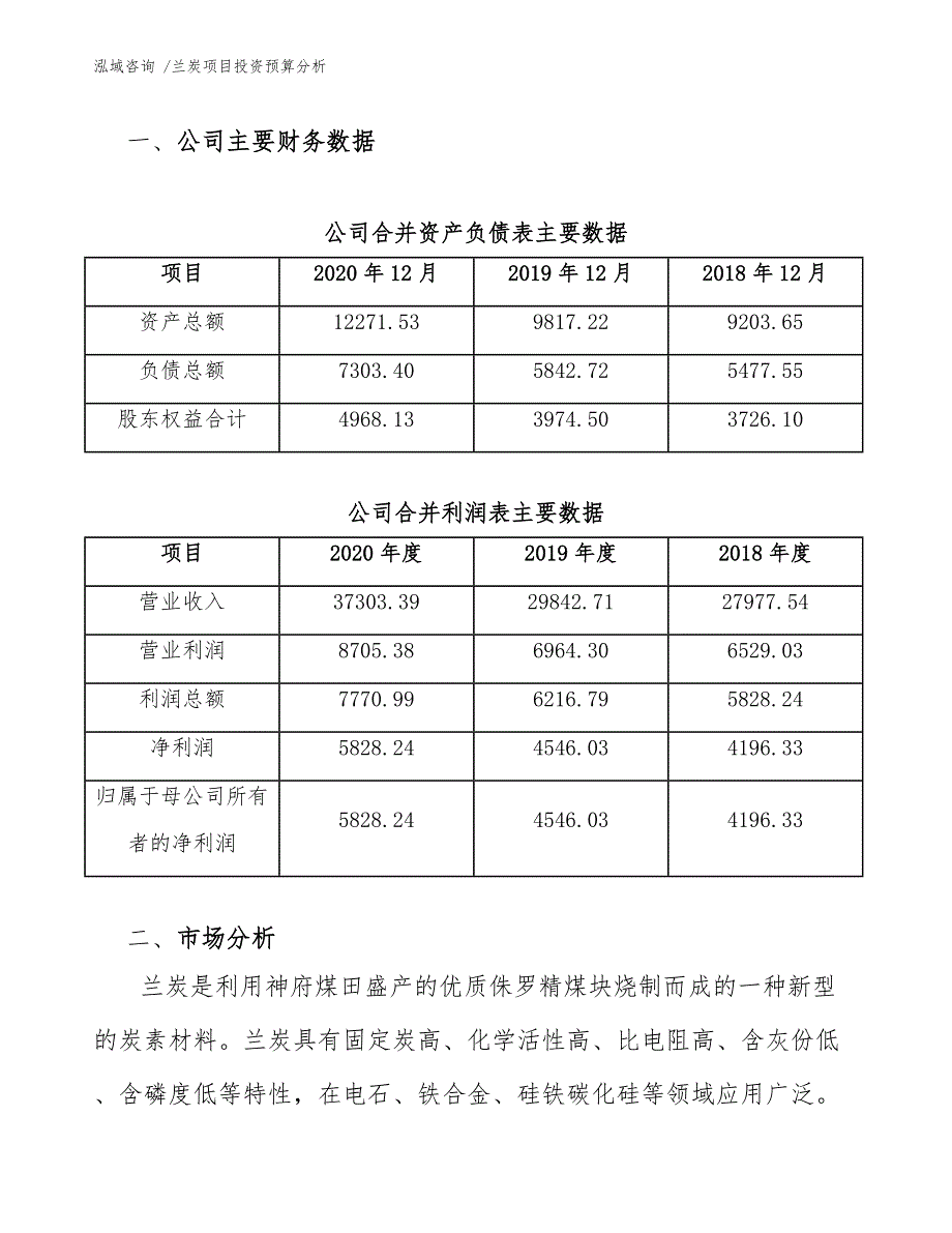 兰炭项目投资预算分析（范文模板）_第3页