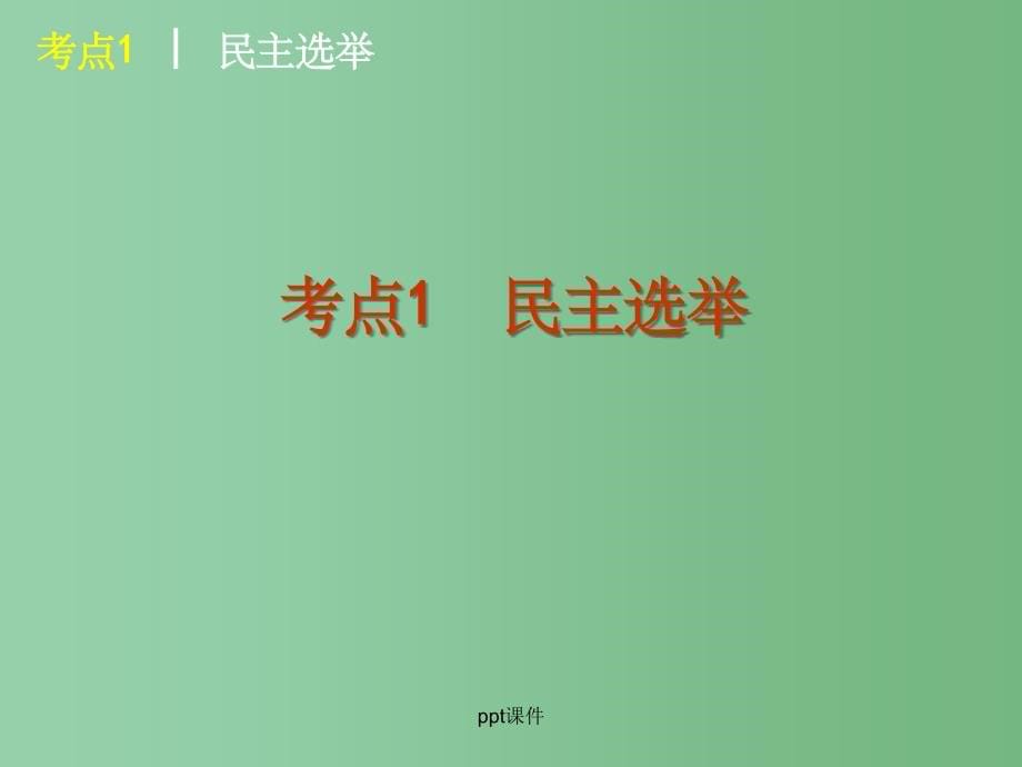 高三政治一轮复习 课时13 我国公民的政治参与 新人教版_第5页