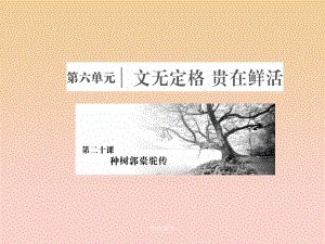 高中语文第六单元文无定格贵在鲜活第二十课种树郭橐驼传新人教版选修中国古代诗歌散文欣赏