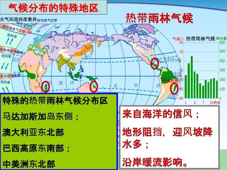 高考地理一轮复习 2.3.6气候的具体分布_第5页