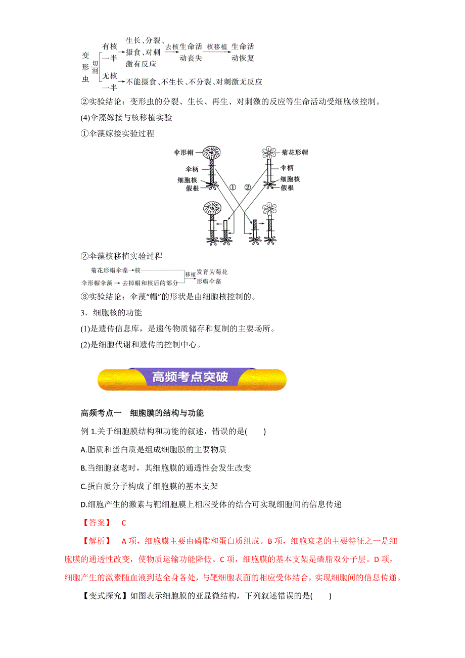 第02章 专题2.1 细胞膜-系统的边界细胞核-系统的控制中心（教学案）-高考生物一轮复习精品资料（解析版）Word版含解析_第3页