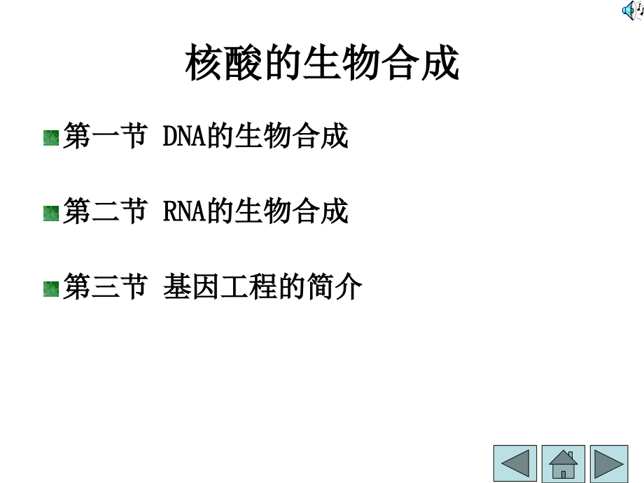 生物化学核酸的合成备课讲稿_第1页