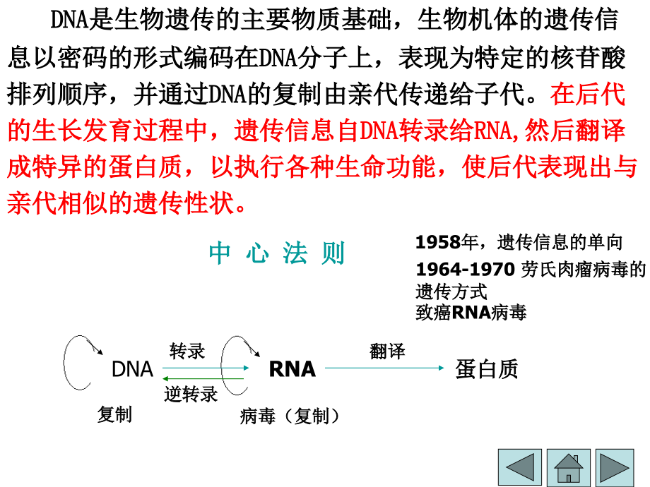 生物化学核酸的合成备课讲稿_第2页