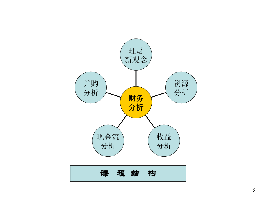 企业财务管理经典实用课件：首席财务官财务报表分析教学材料_第2页