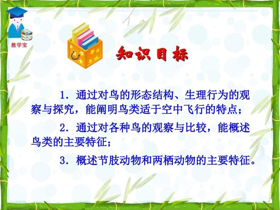 第三节空中飞行的动物1备课讲稿_第5页