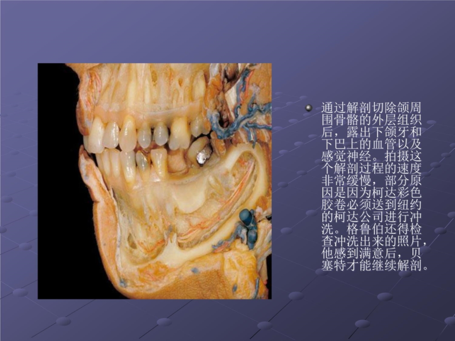 医学知识讲座98教案资料_第4页