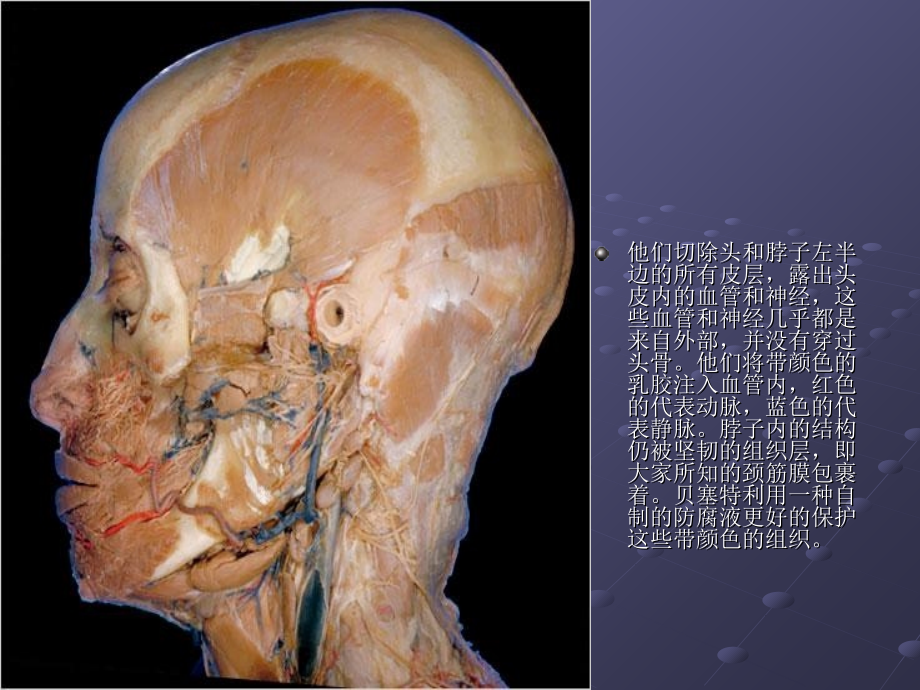 医学知识讲座98教案资料_第5页