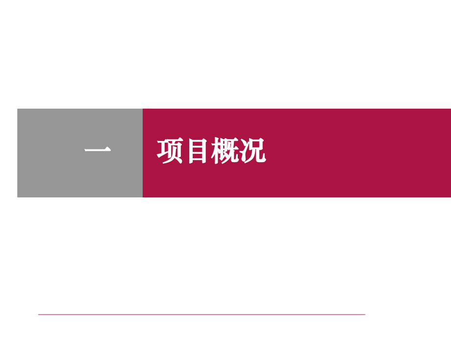 大型旅游地产项目策划汇报PPT课件_第2页