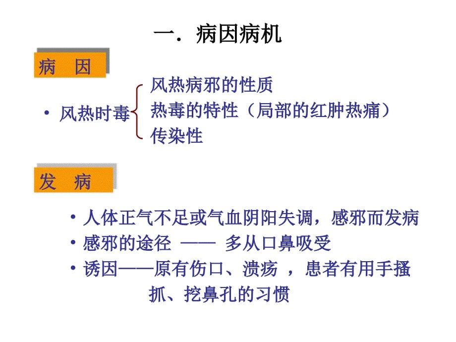 第九章温毒类温病1讲义教材_第5页