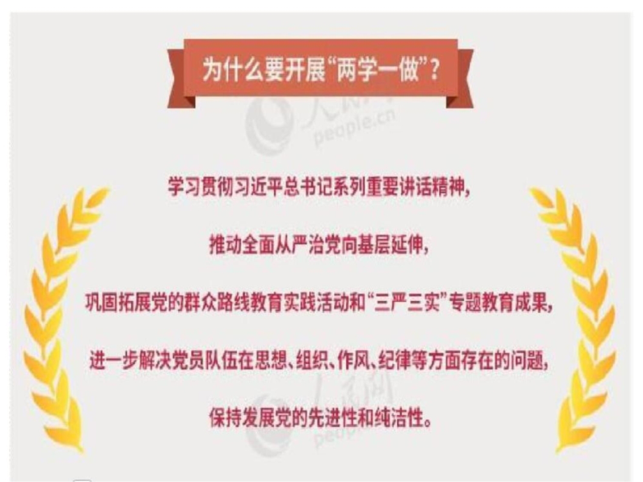 两学一做讲座课件3讲课资料_第4页