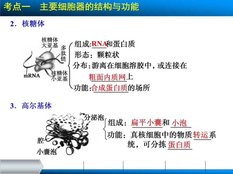 浙科版一轮复习细胞质讲解材料_第4页