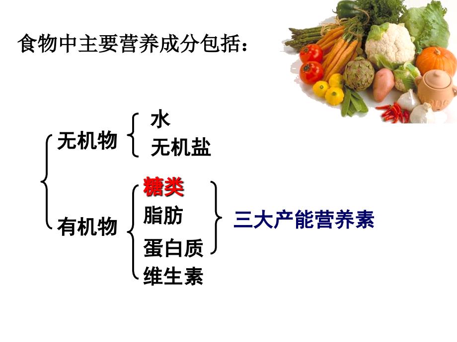 北师大初中生物会考复习七年级下册一ppt课件1知识分享_第3页