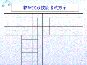 2013年执业医师技能考试考前冲刺培训(总结得相当详细)知识课件