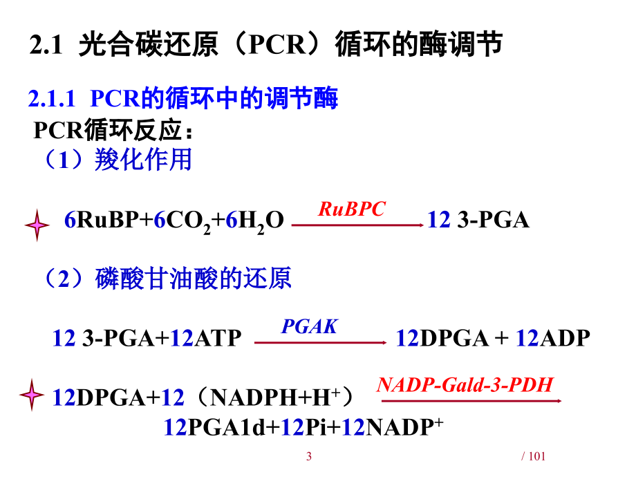 光合作用的有关机理-王学奎4说课材料_第3页