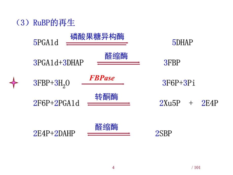 光合作用的有关机理-王学奎4说课材料_第4页