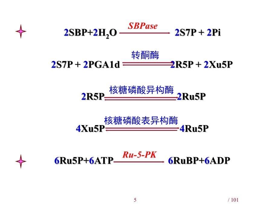 光合作用的有关机理-王学奎4说课材料_第5页