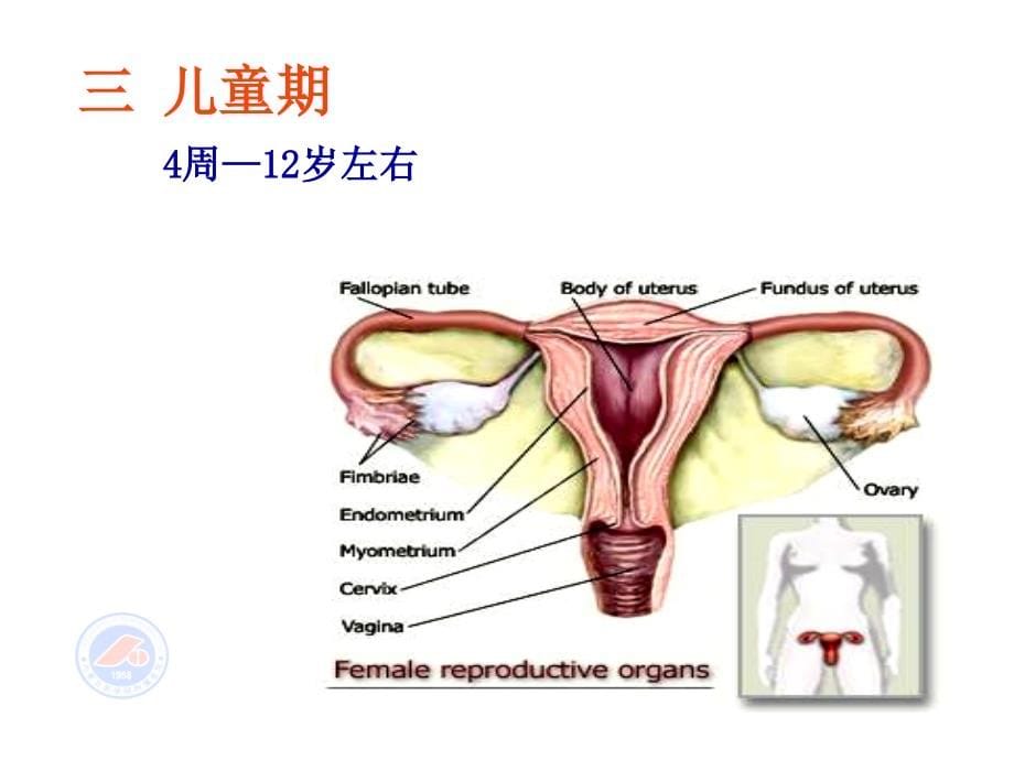 内蒙古医学院附属医院妇产科 (2)讲义教材_第5页