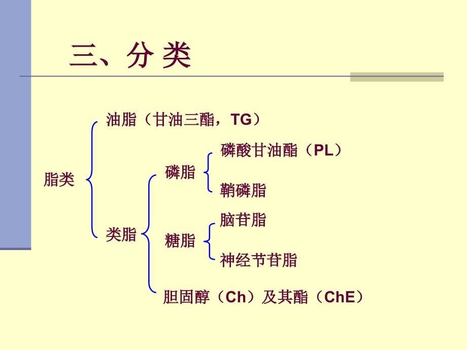 第8章脂类代谢3讲义教材_第5页