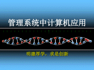 02管理系统中计算机应用教学教案