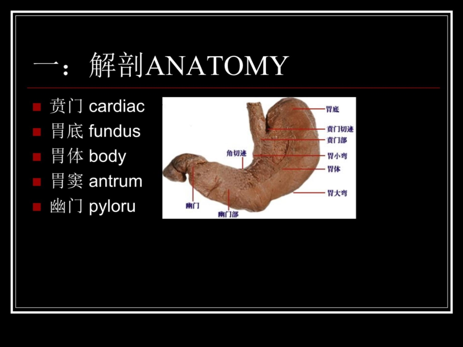 胃十二指肠疾病4教程教案_第4页