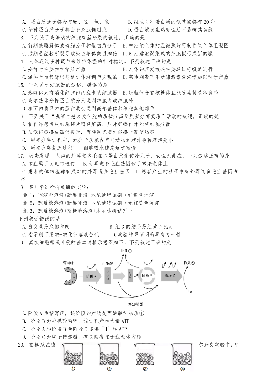 20XX年10月浙江选考生物试习题(精校清晰版)_第2页