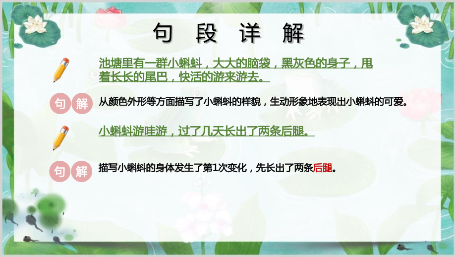 《小蝌蚪找妈妈》ppt课件6_第3页