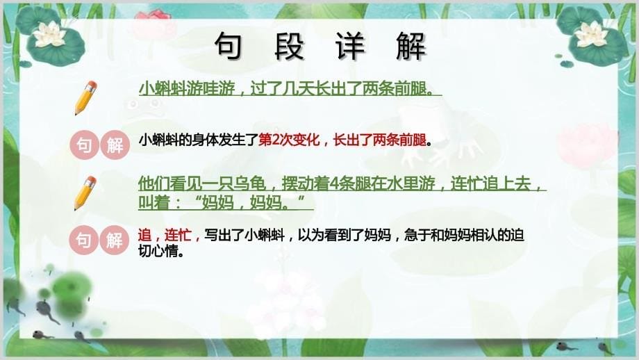 《小蝌蚪找妈妈》ppt课件6_第5页