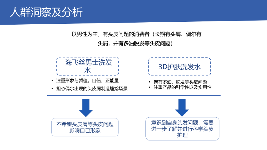 【致趣】海飞丝内容营销方案_第4页