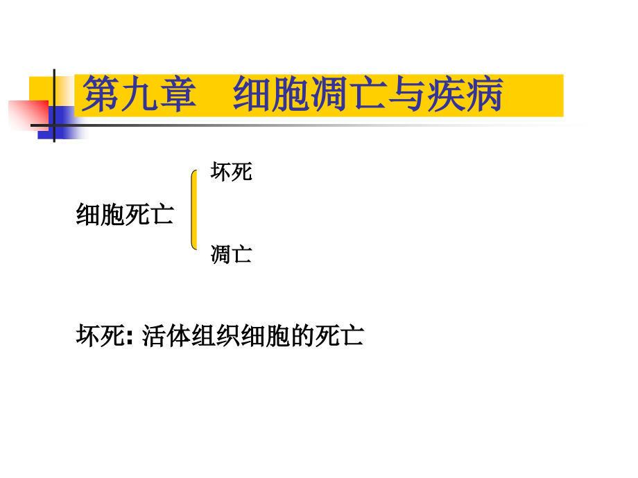 第九章细胞凋亡MicrosoftPowerPoint演示文稿1讲解材料_第1页