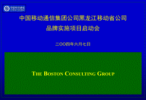 《波士顿管理咨询公司－黑龙江移动咨询资料－2004年8月》讲解材料