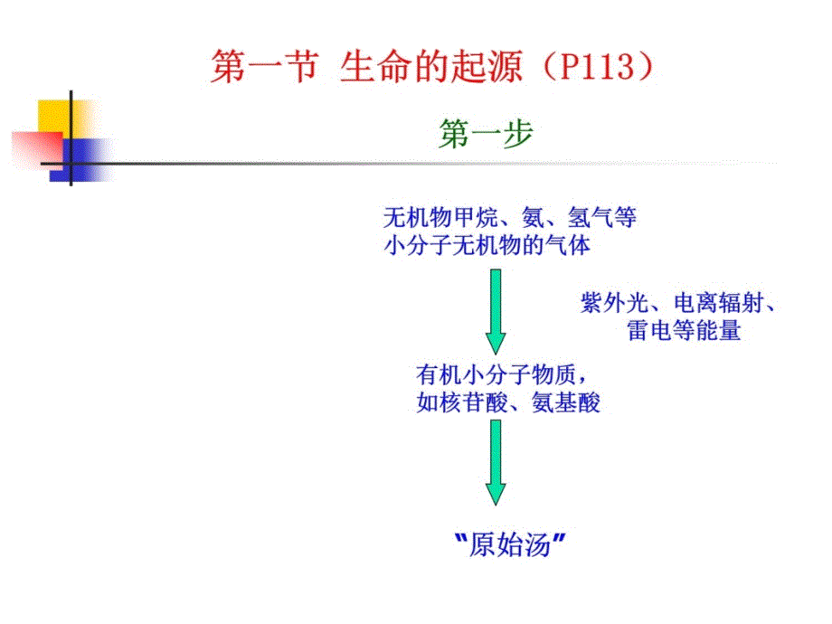 生命是我们这个世界最神奇、最伟大、最美丽的自然现象8说课讲解_第4页