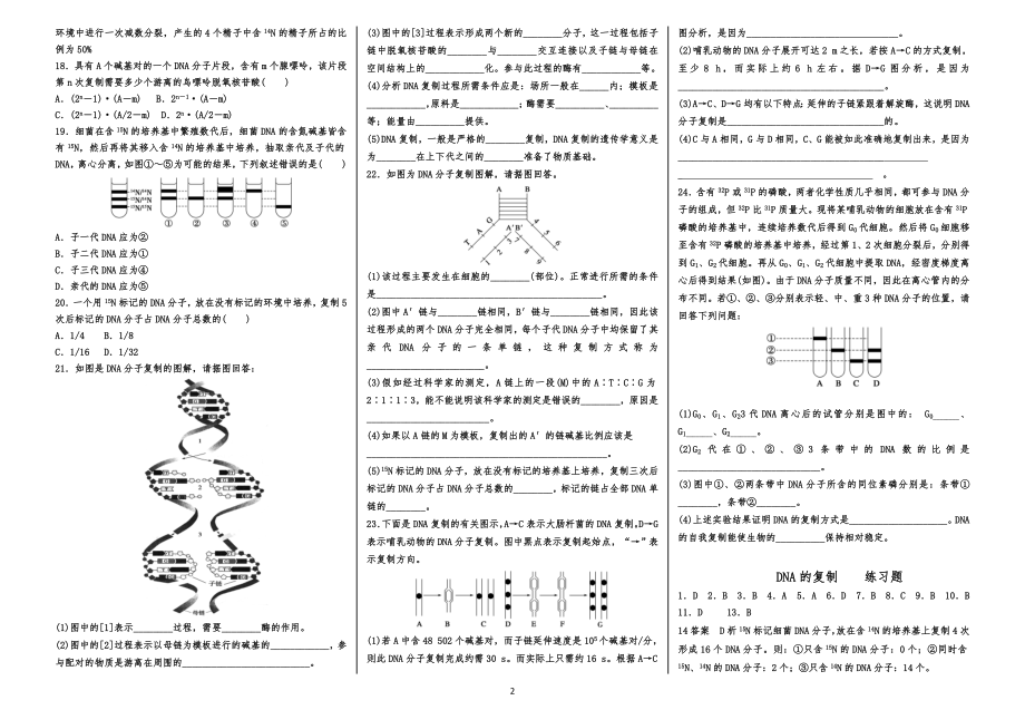 3.3 DNA的复制练习习题_第2页