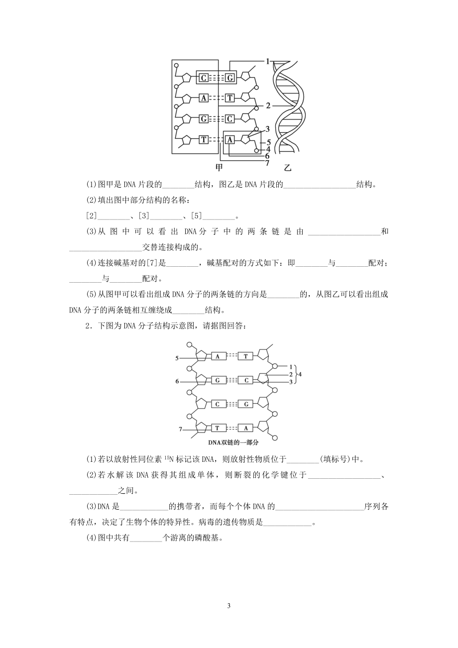 《DNA是主要的遗传物质复习题及答案》_第3页