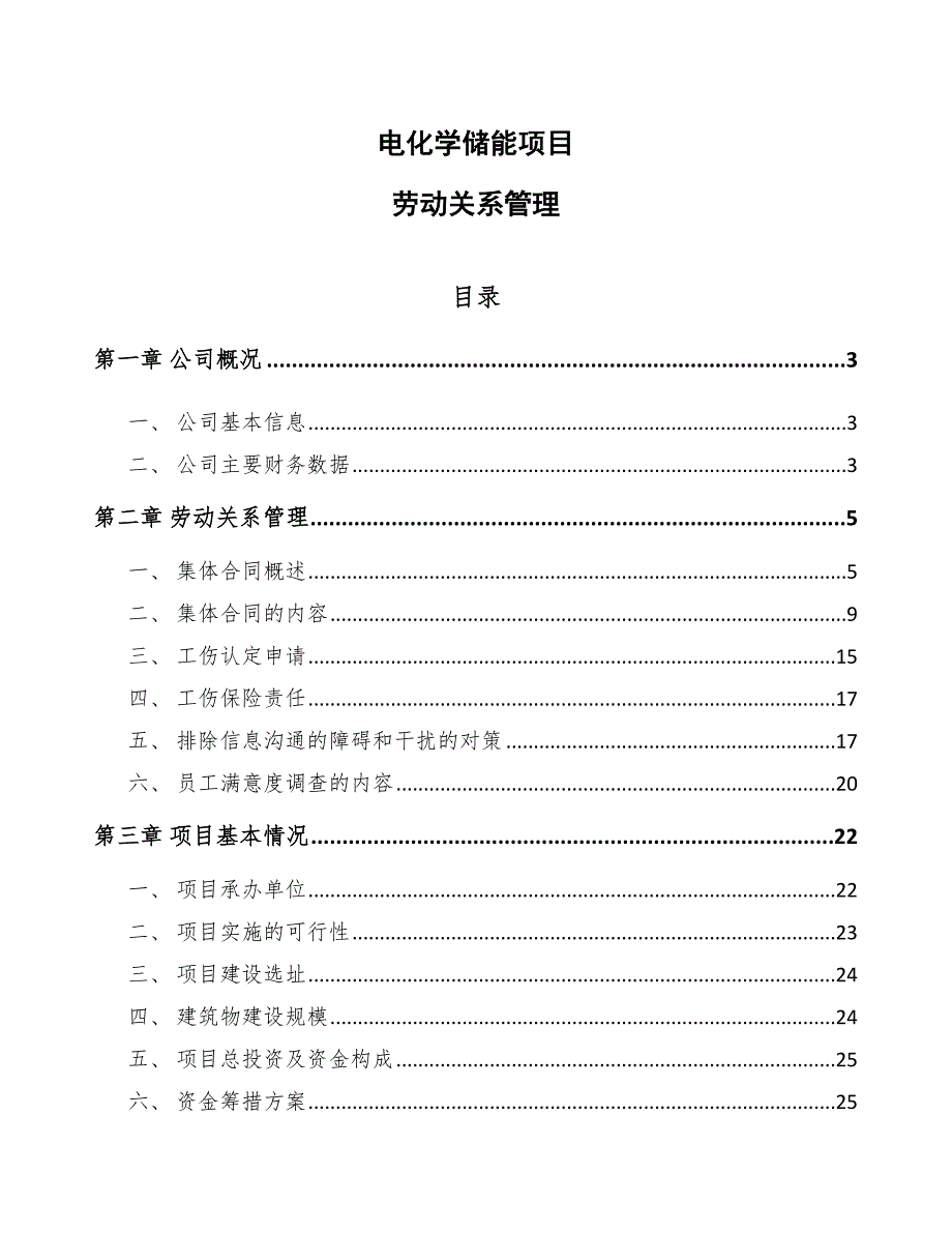 电化学储能项目劳动关系管理_范文_第1页