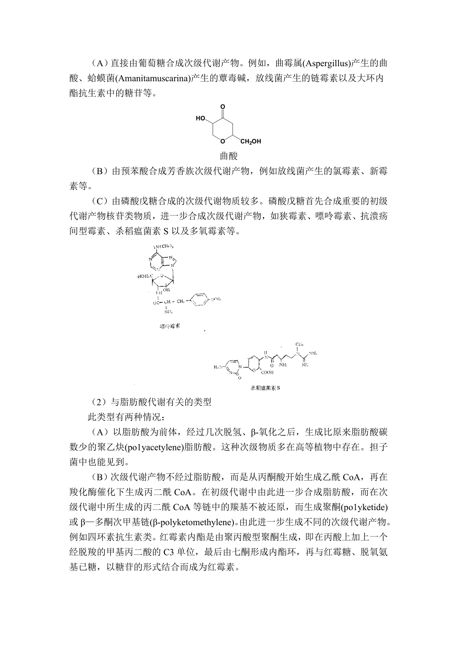 微生物学章节总结笔记第三章 发酵生物化学基础_第2页