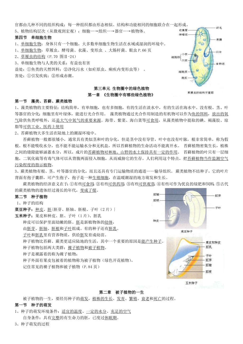 《部编人教七年级上册生物知识点总结精编》_第4页