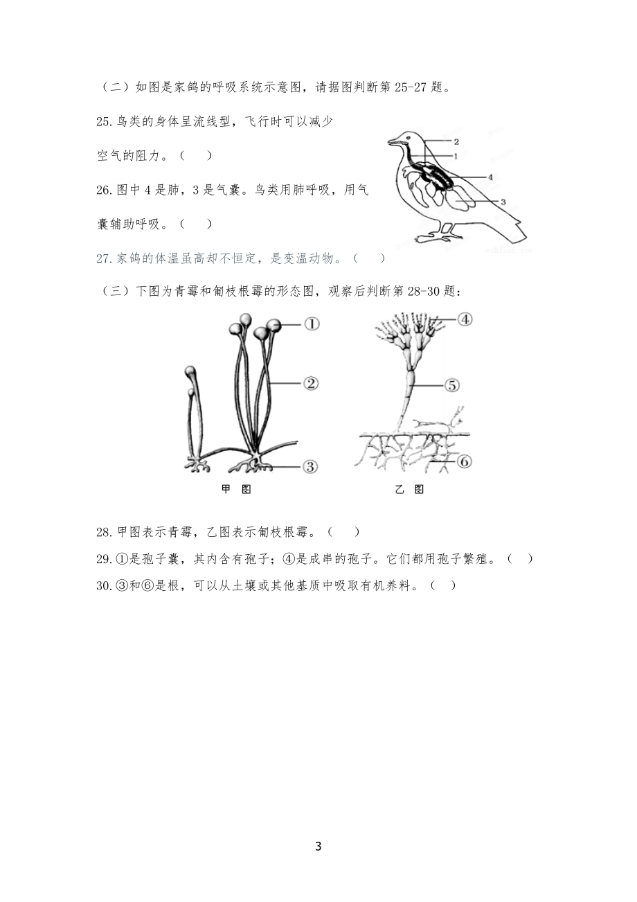 苏科版七年级初一生物学下册期末测试题_第3页