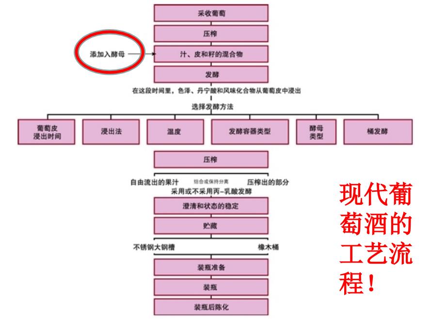 (新修改)果酒和果醋研究课件_第3页