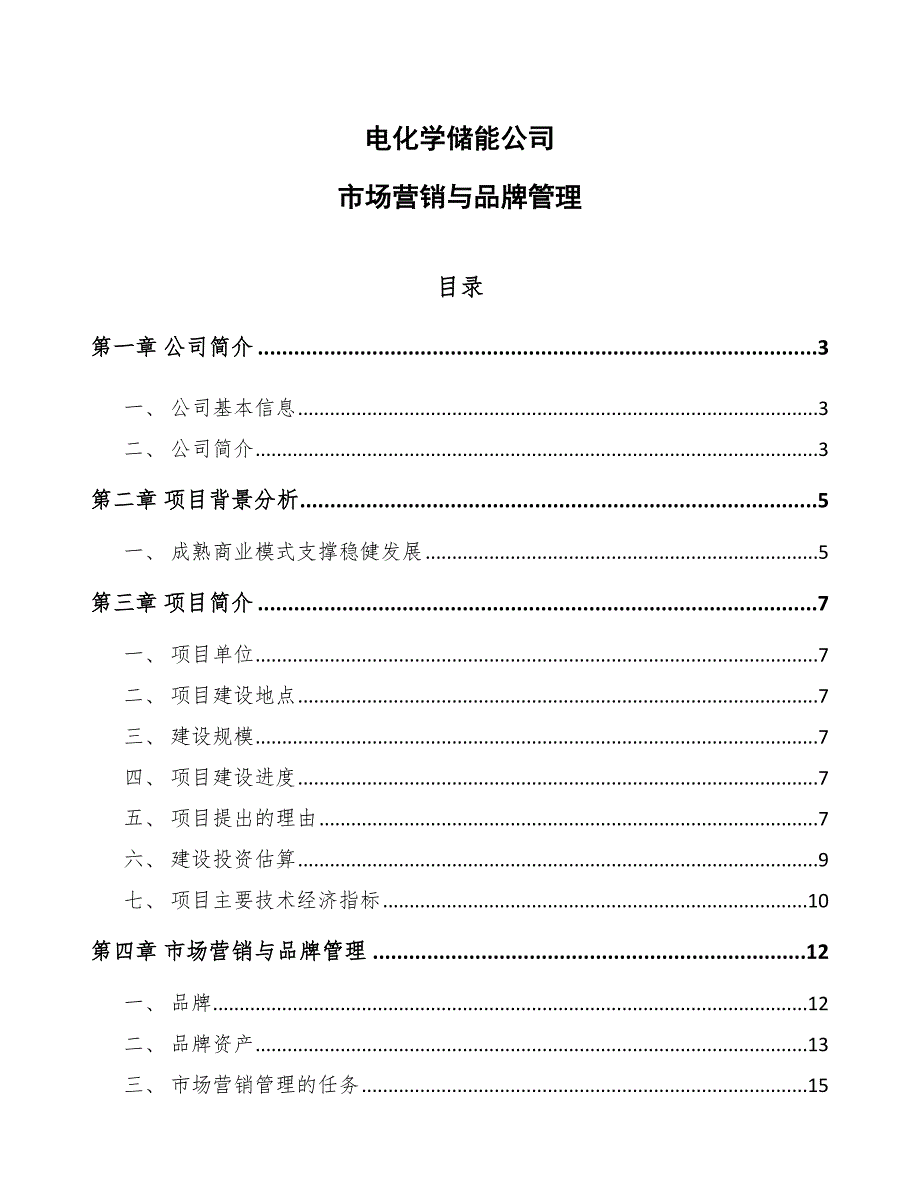 电化学储能公司市场营销与品牌管理【范文】_第1页