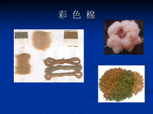 (新型纤维)纺织材料