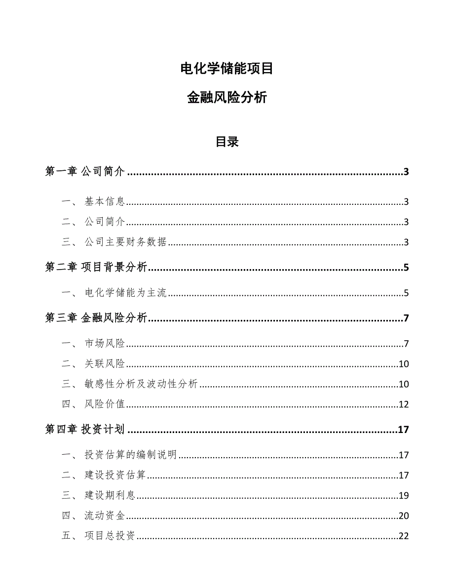 电化学储能项目金融风险分析_第1页